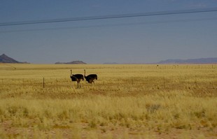 207 Namibia Okt 2006 .JPG